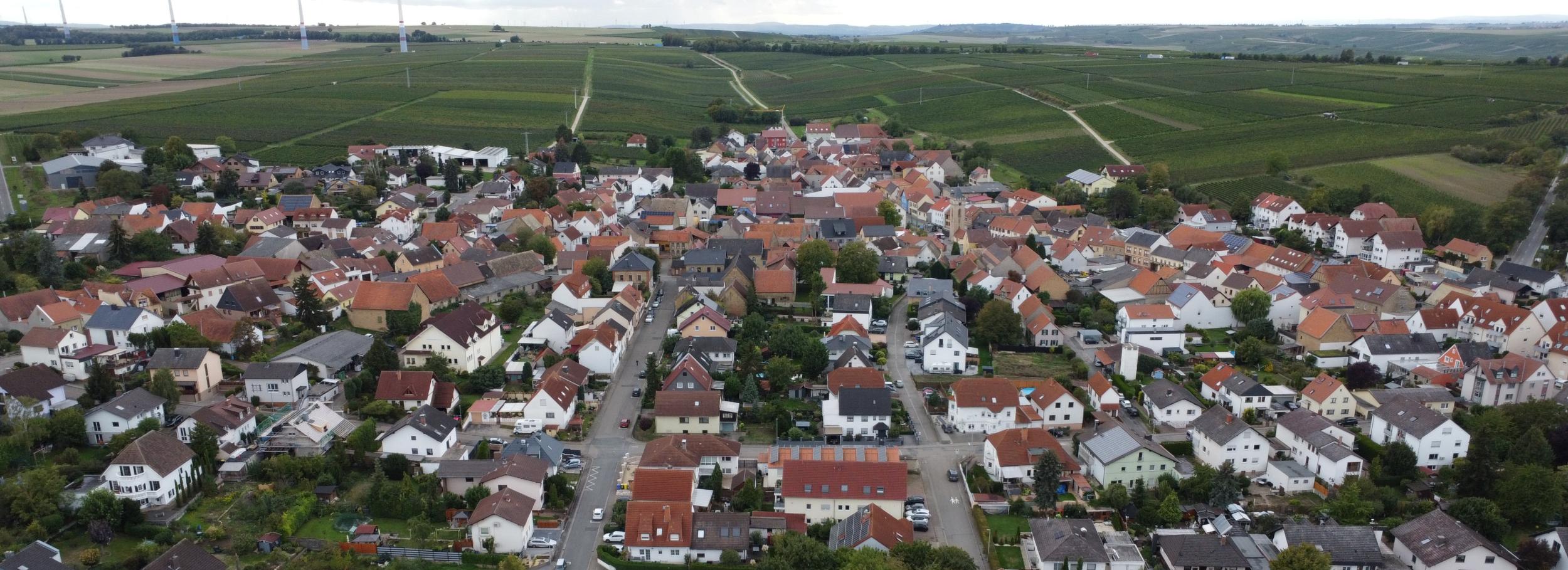 Blick auf Udenheim