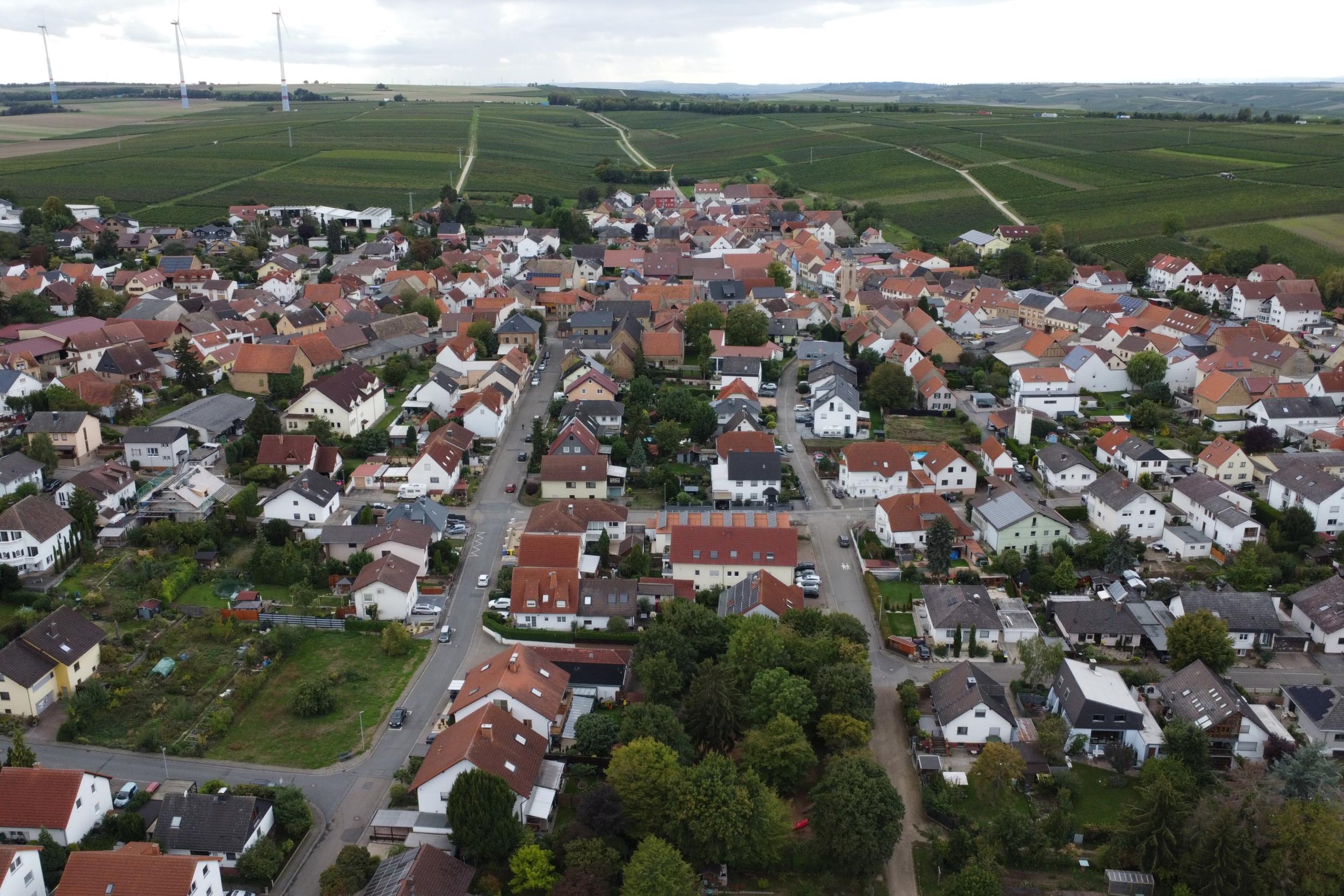 Blick auf Udenheim