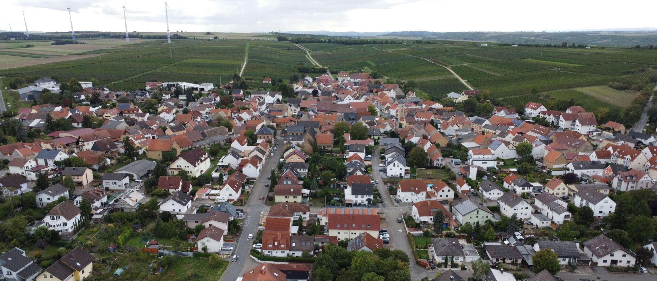 Blick auf Udenheim