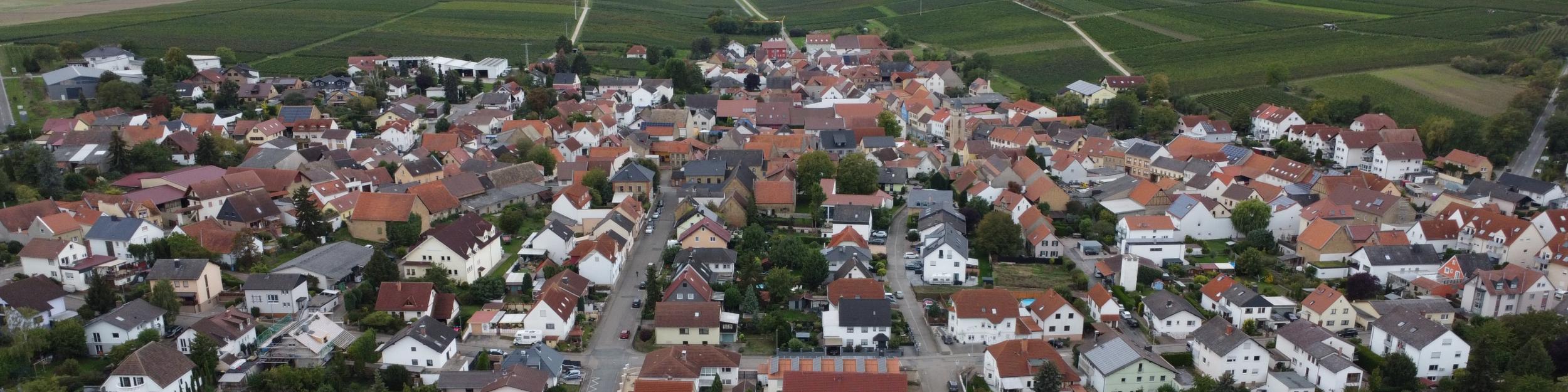 Blick auf Udenheim