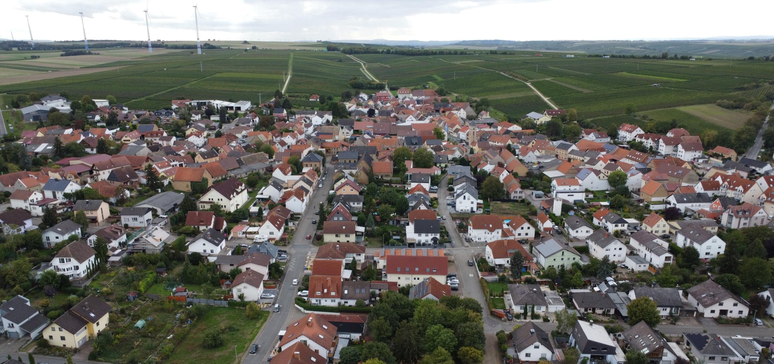 Blick auf Udenheim