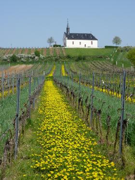 Kapelle Abenheim