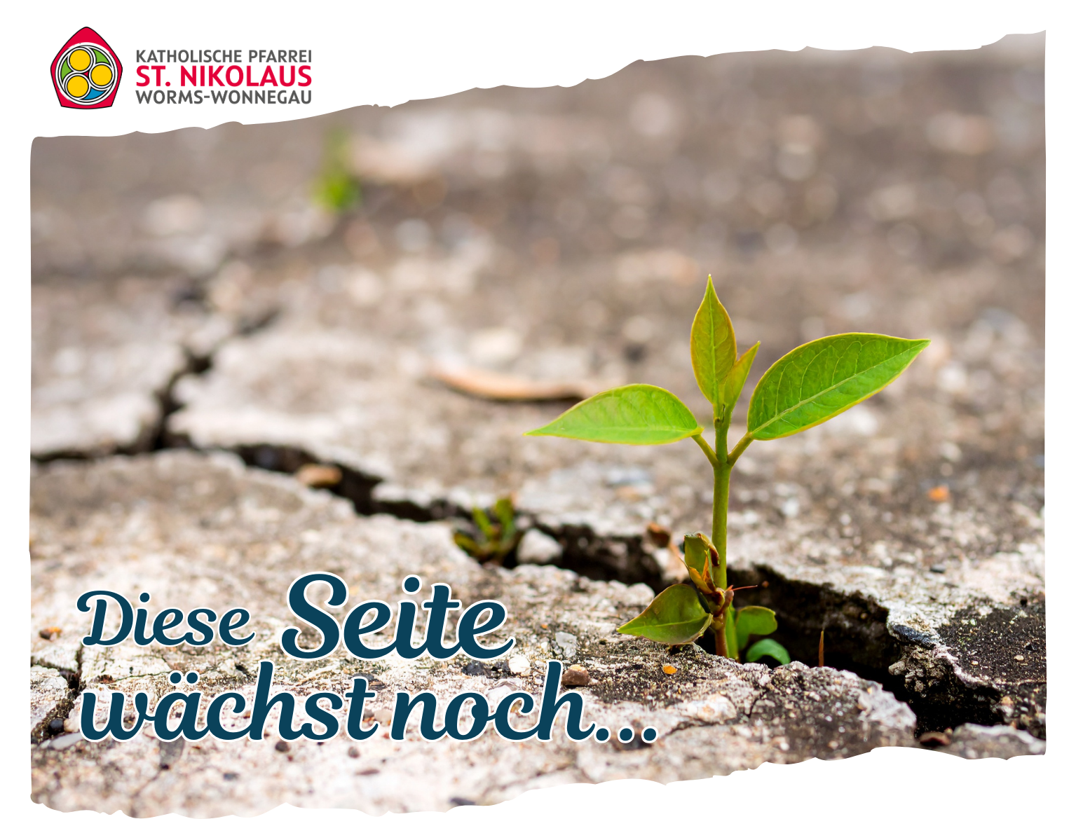 Diese Seite wächst noch