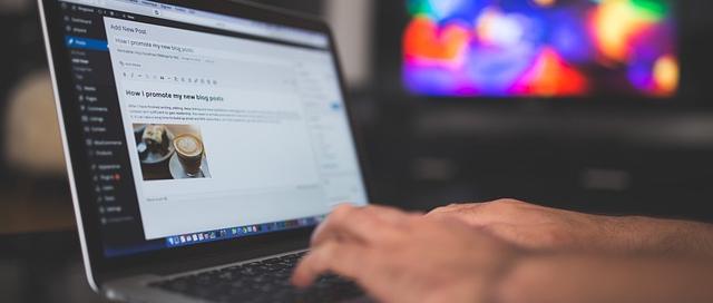 wordpress-923188_640