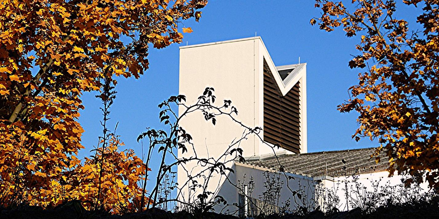 Blick über die Stadtmauer