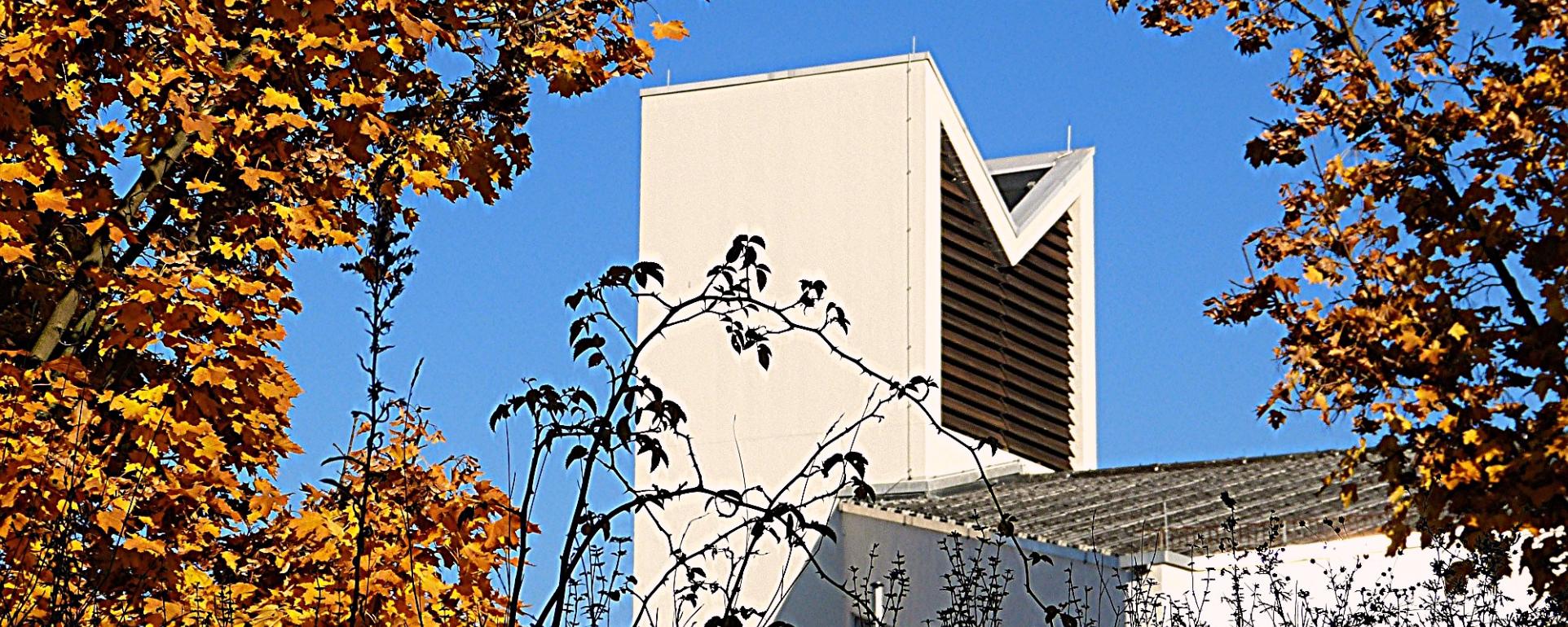 Blick über die Stadtmauer