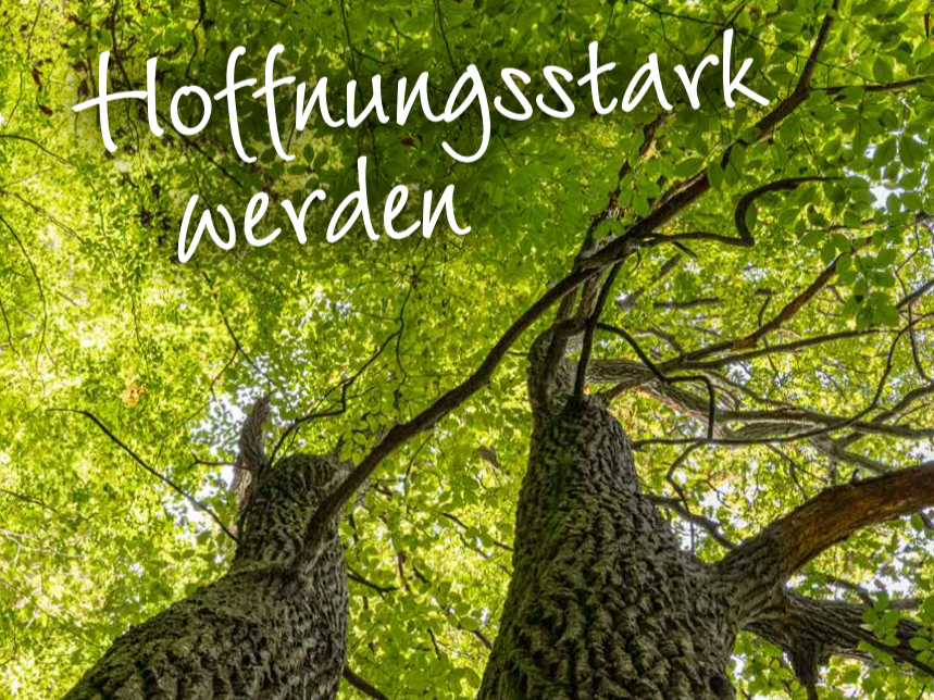 Baum - Hoffnungsstark werden