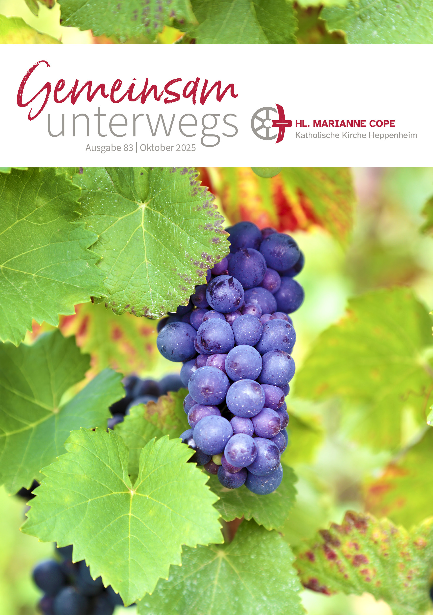 Titelseite - Gemeindemagazin 'Gemeinsam unterwegs' - Ausgabe: Oktober 2025 - lila Trauben und Weinblättern