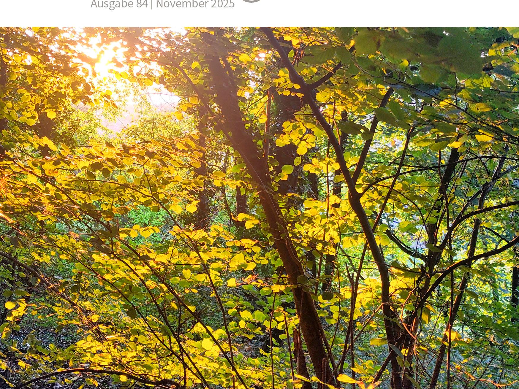 Pfarrbrief / Gemeindemagazin Gemeinsam unterwegs (GU) - Ausgabe November 2025