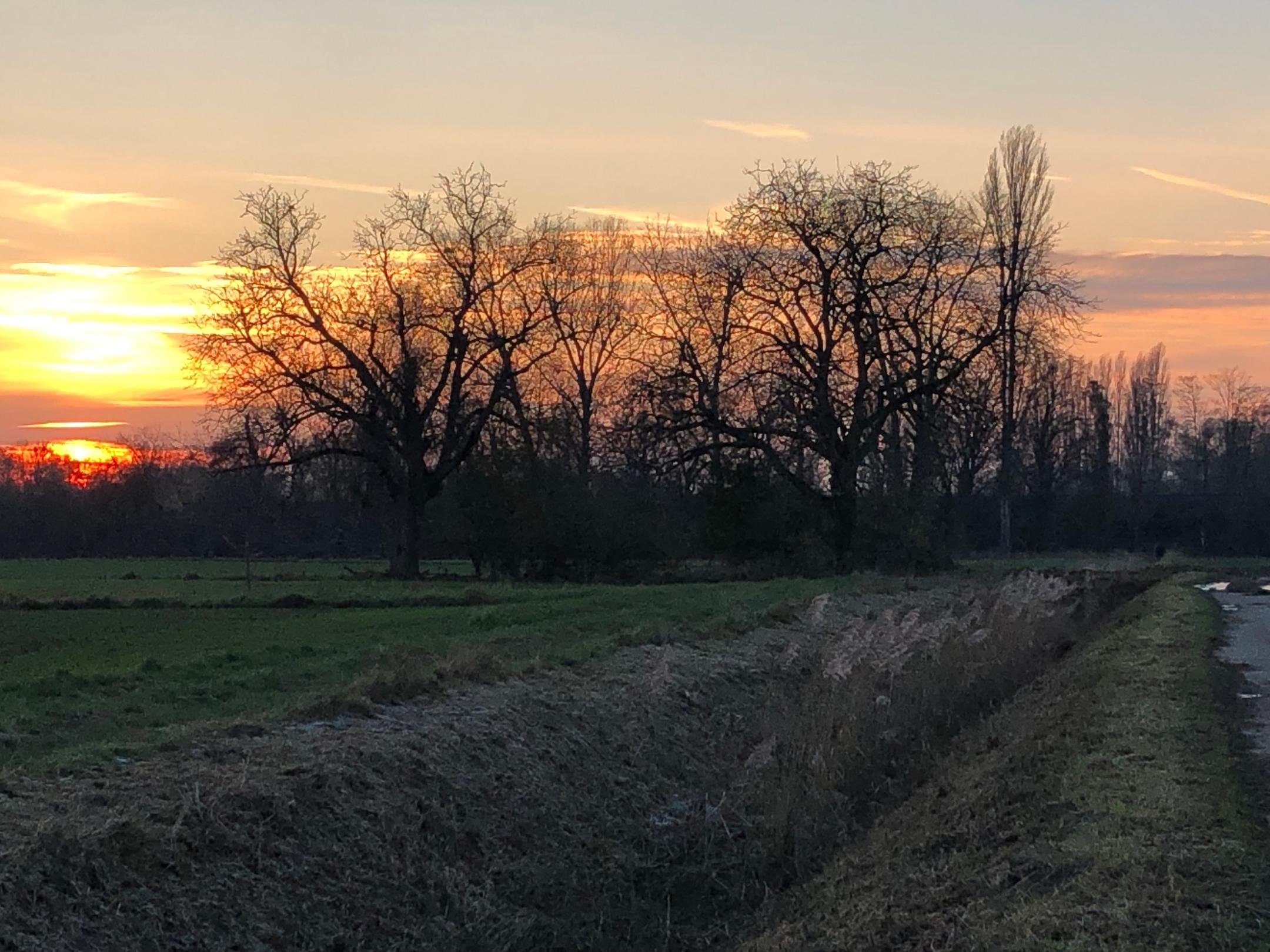 Sonnenuntergang in Heppenheim 2024