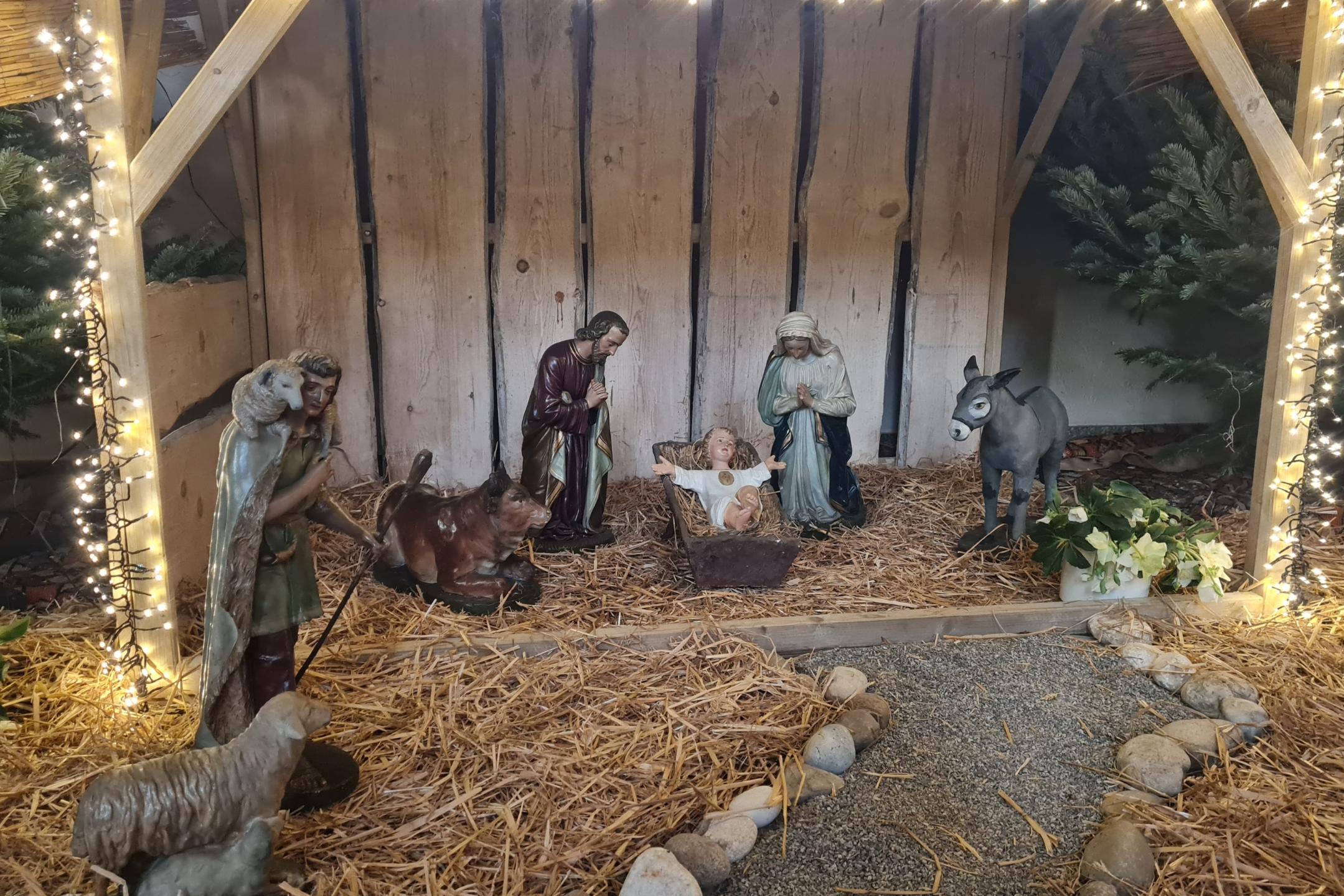 Krippe in Kirche der Pfarrei Hl. Marianne Cope Heppenheim