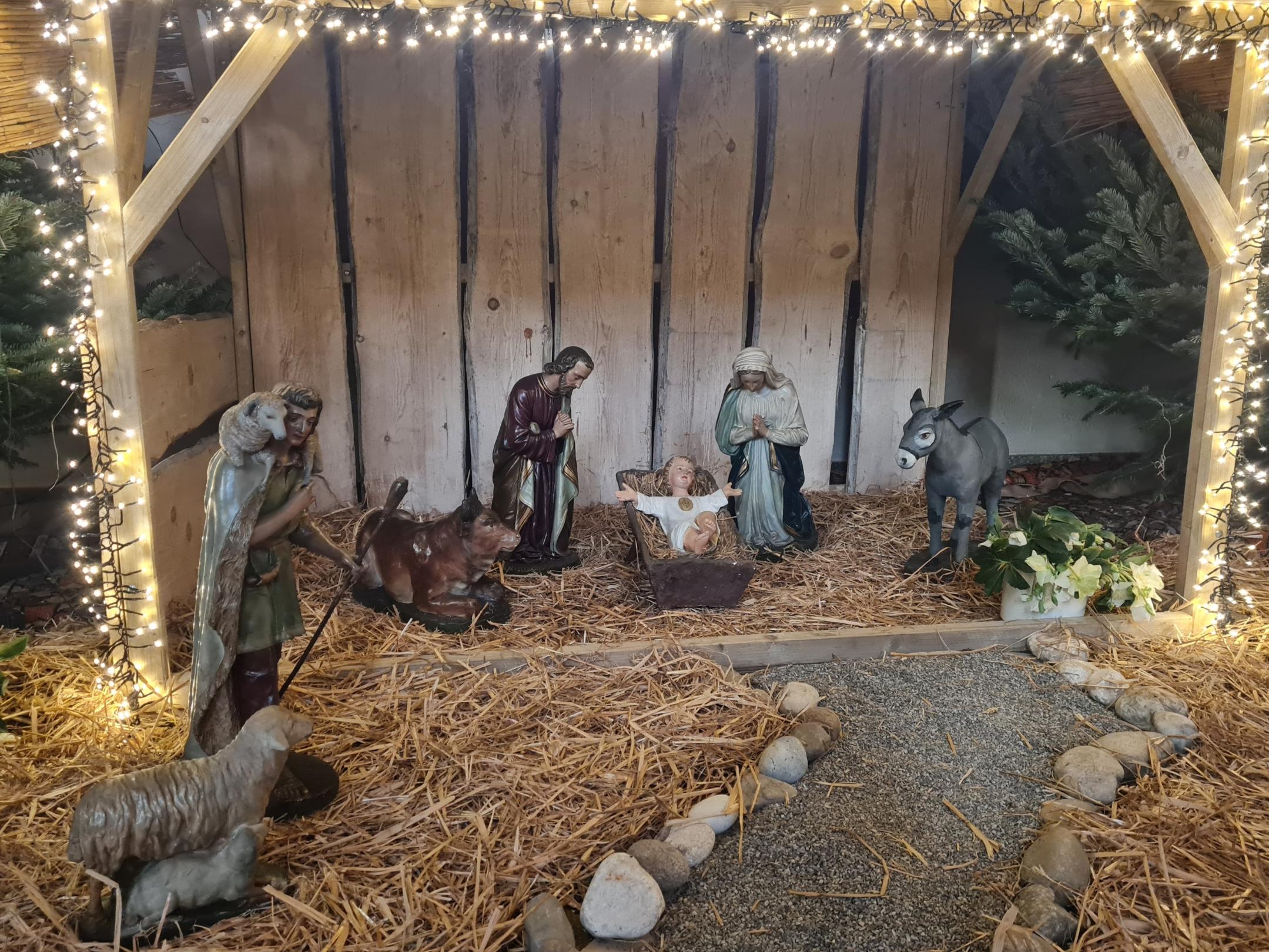 Krippe in Kirche der Pfarrei Hl. Marianne Cope Heppenheim