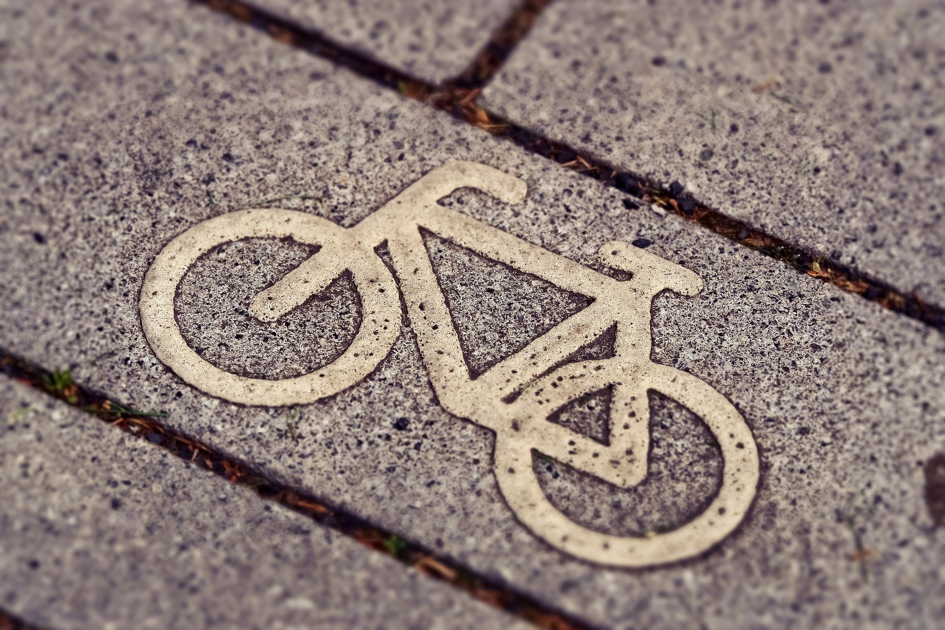 cycle-path-3444914_1920