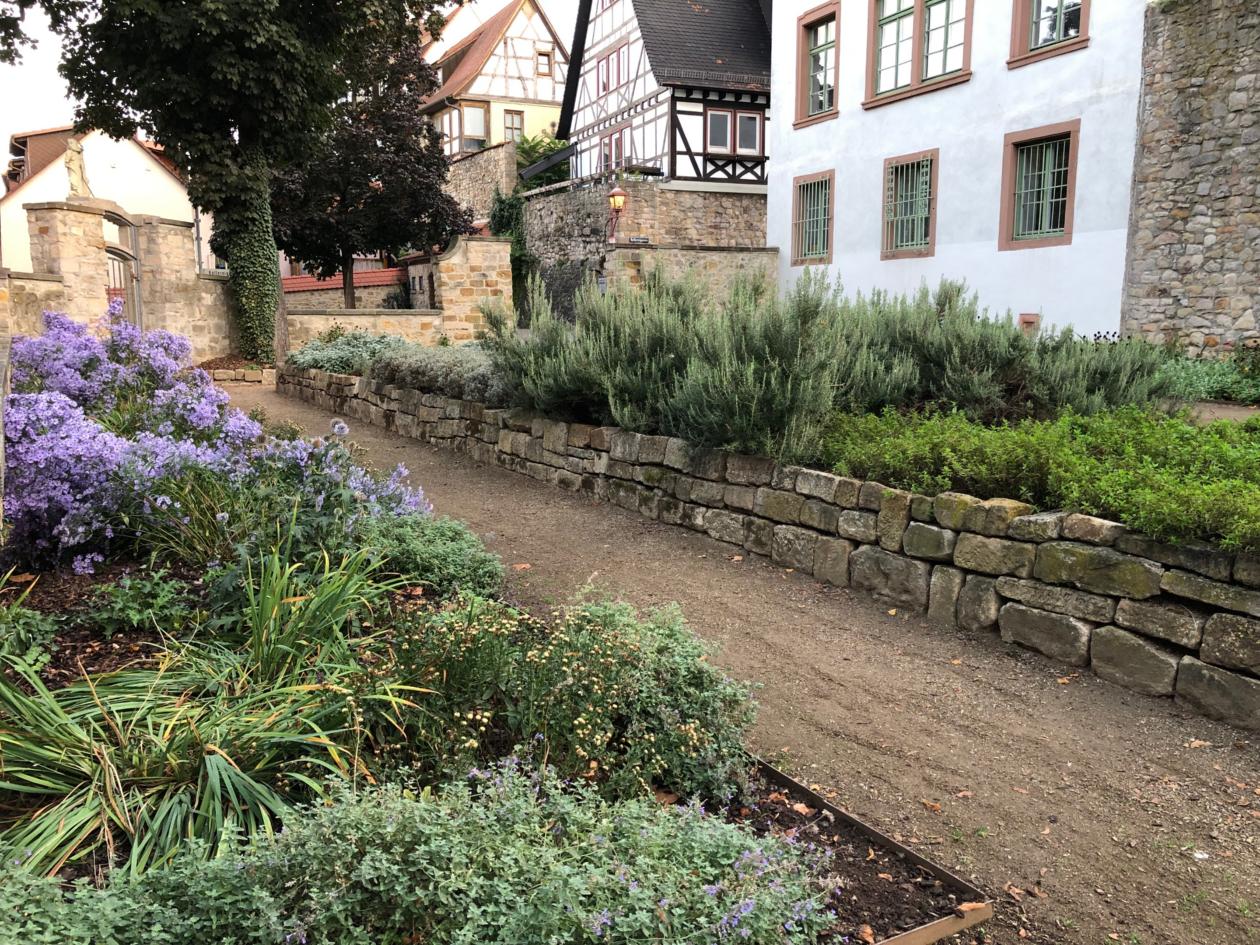 Marianne Cope - Garten in Heppenheim - Bild 1