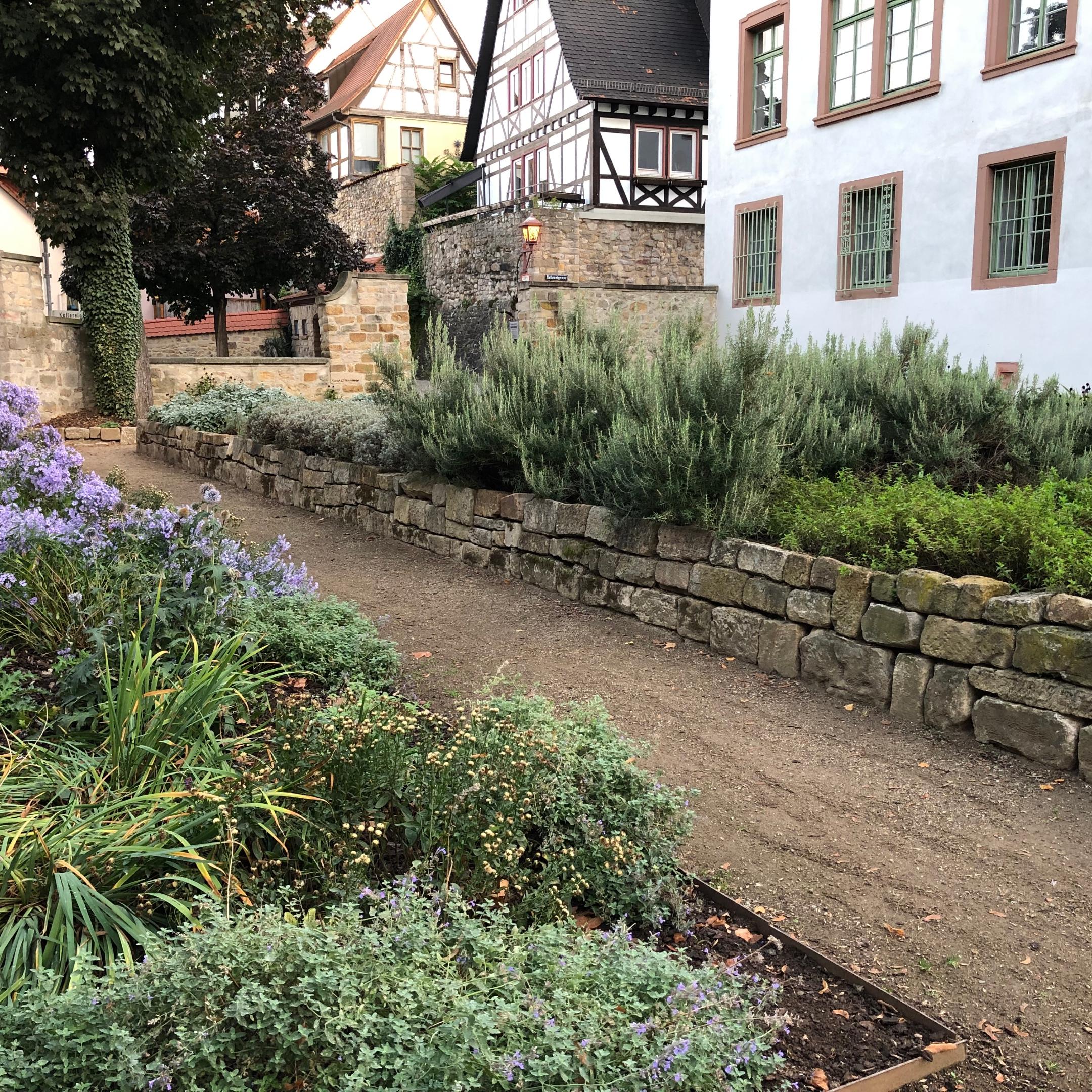 Marianne Cope - Garten in Heppenheim - Bild 1