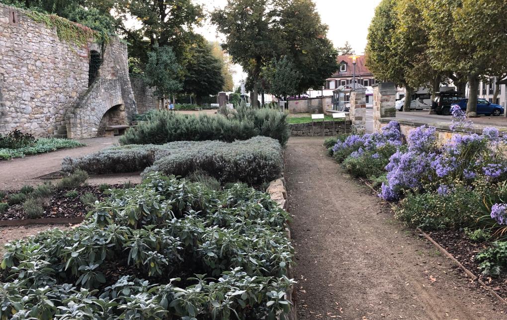 Marianne Cope - Garten in Heppenheim - Bild 2