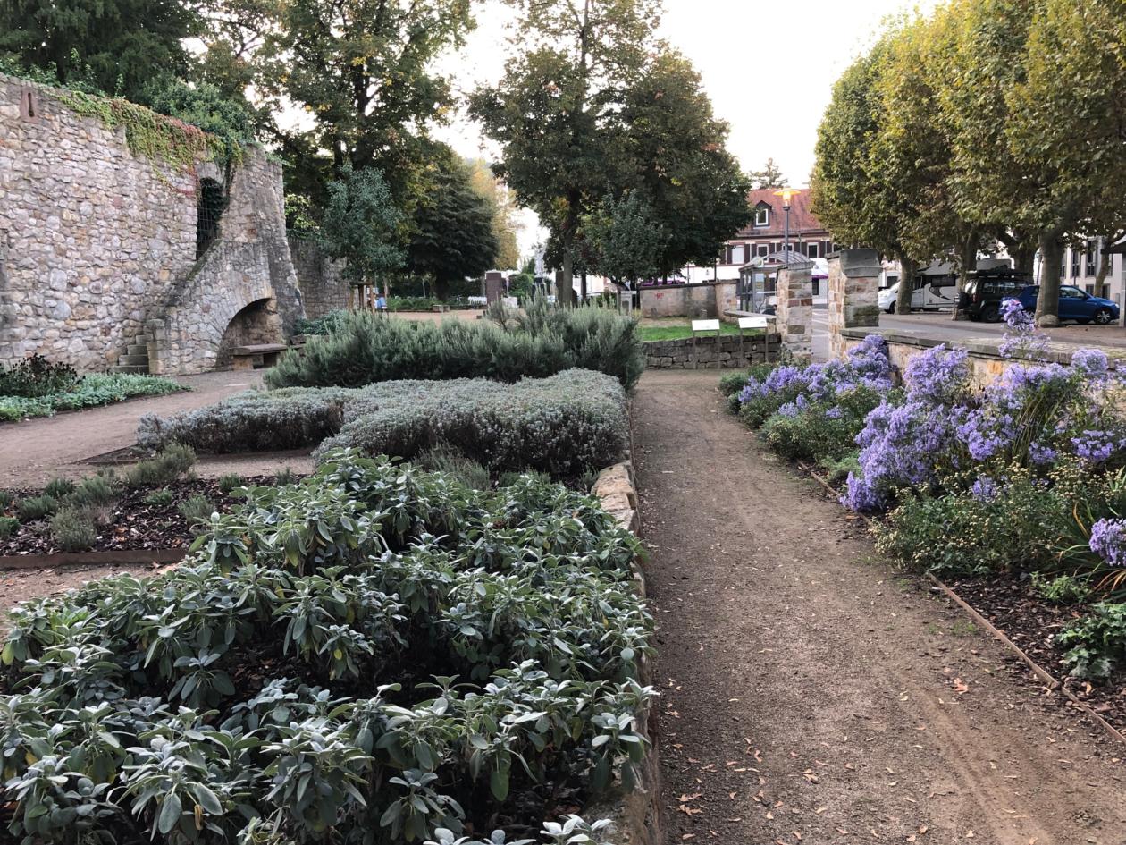 Marianne Cope - Garten in Heppenheim - Bild 2