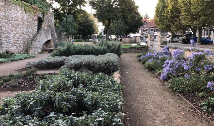 Marianne Cope - Garten in Heppenheim - Bild 2