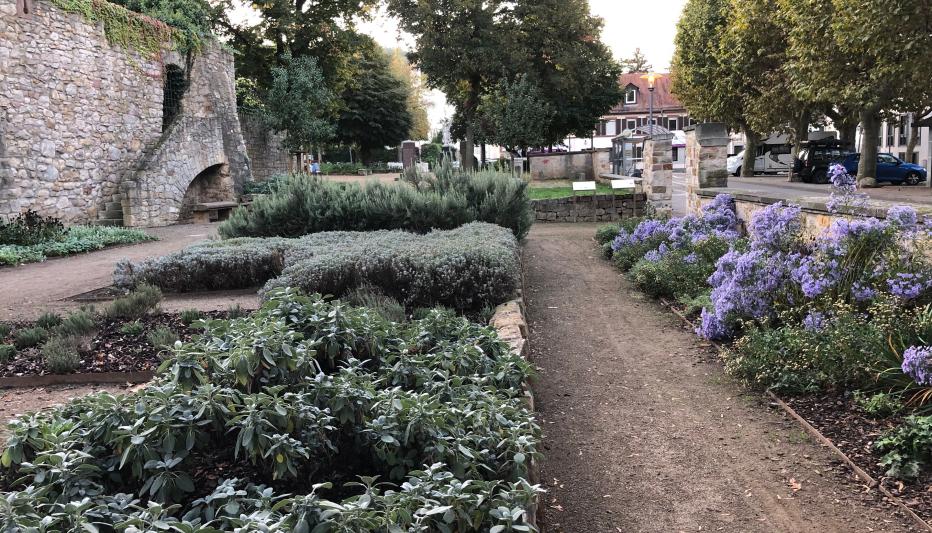 Marianne Cope - Garten in Heppenheim - Bild 2