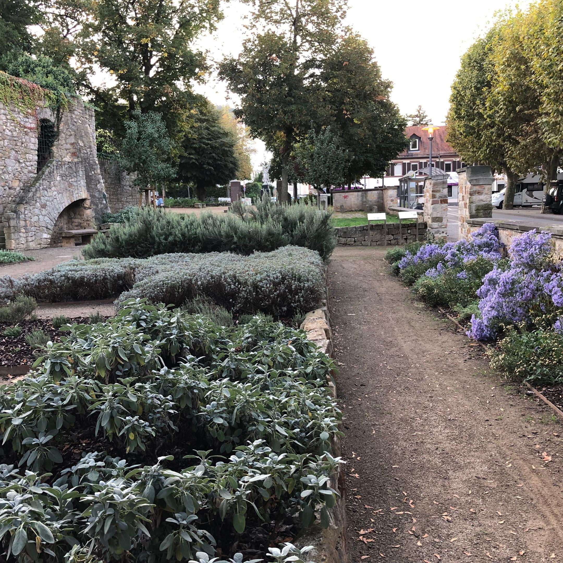 Marianne Cope - Garten in Heppenheim - Bild 2