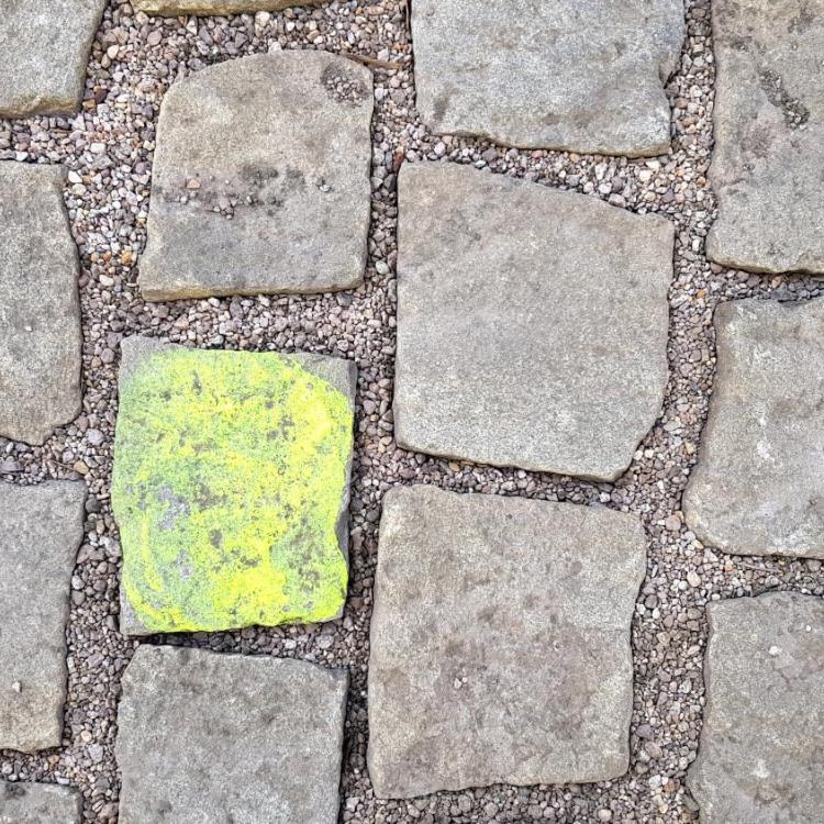 Graues Kopfsteinpflaster mit einem einzelnen leuchtend gelben Stein in der Mitte.