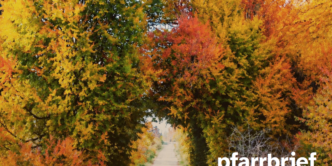 Cover mit herbstlichem Bäumen