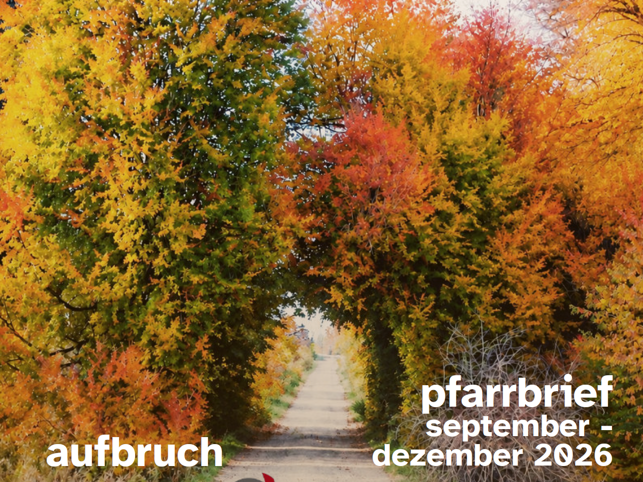 Cover mit herbstlichem Bäumen