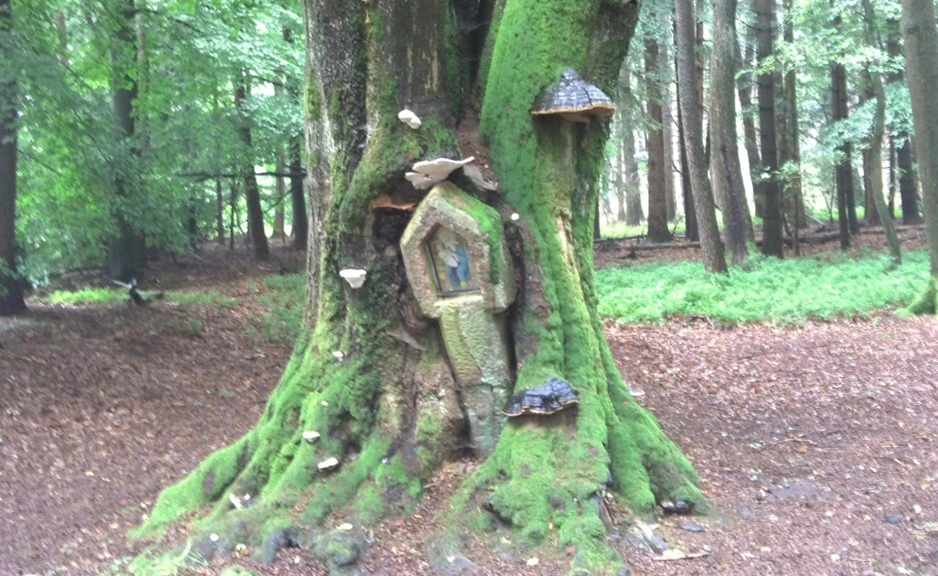 Bullauer Bild im Jahr 2012