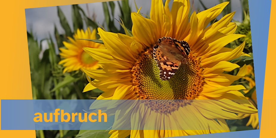 Titelblatt mit Sonnenblume und Schmetterling