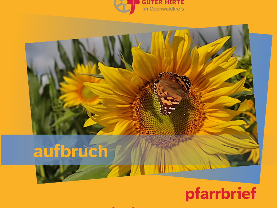 Titelblatt mit Sonnenblume und Schmetterling