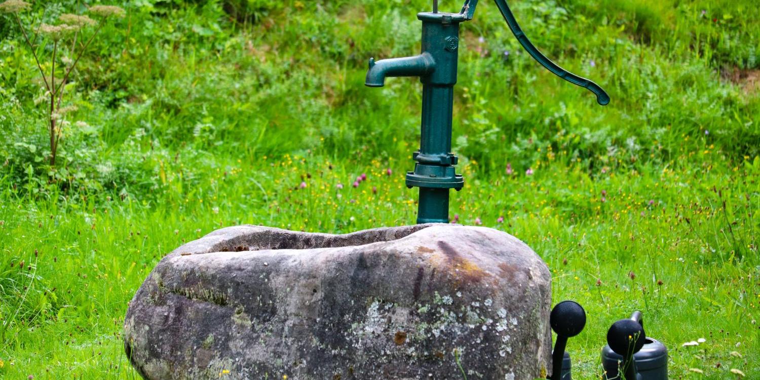 Grüne Wasserpumpe auf einem großen Stein im grasbewachsenen Garten.