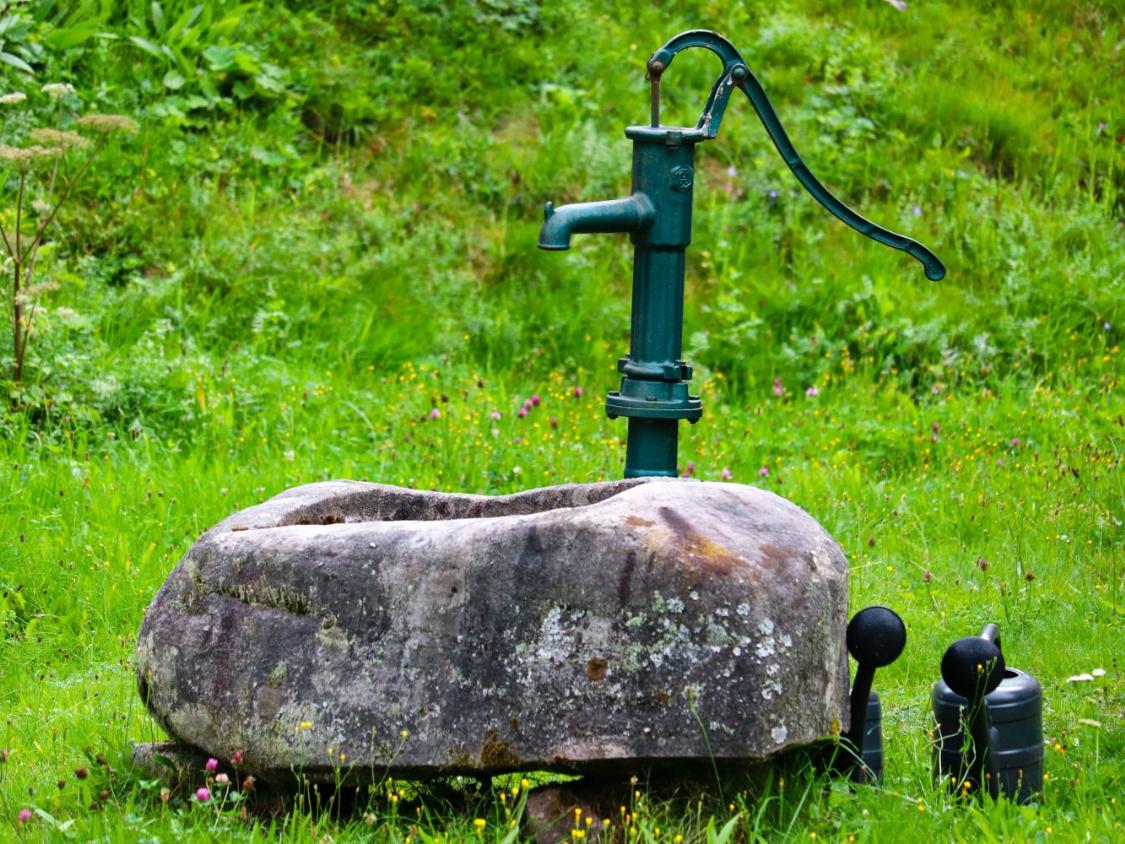 Grüne Wasserpumpe auf einem großen Stein im grasbewachsenen Garten.