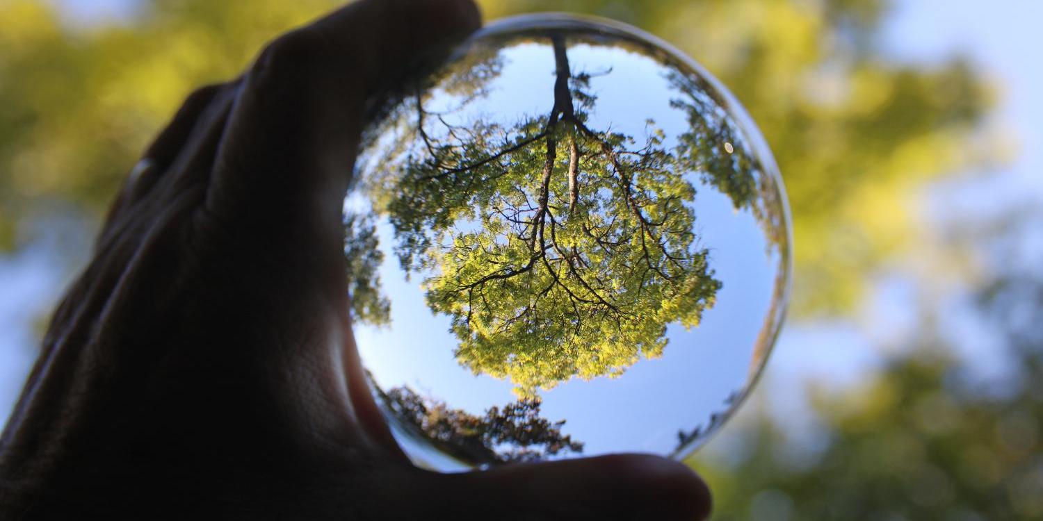 Hand hält Glaskugel, die einen Baum kopfüber reflektiert.