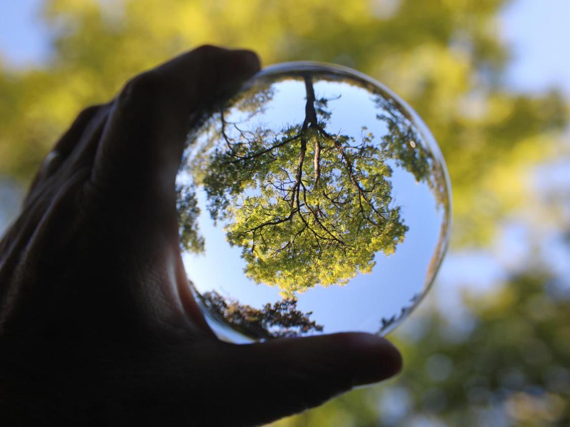 Hand hält Glaskugel, die einen Baum kopfüber reflektiert.