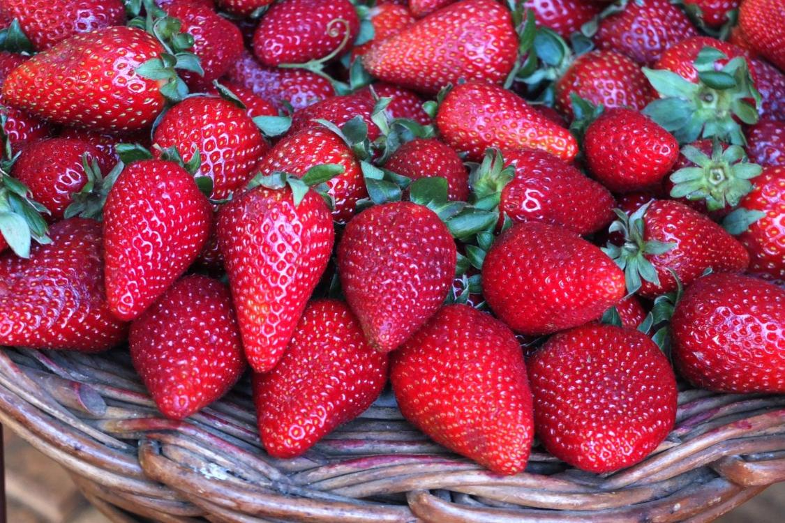 fruit-2223330_by_andrewianhalloway_cc0-gemeinfrei_pixabay_pfarrbriefservice