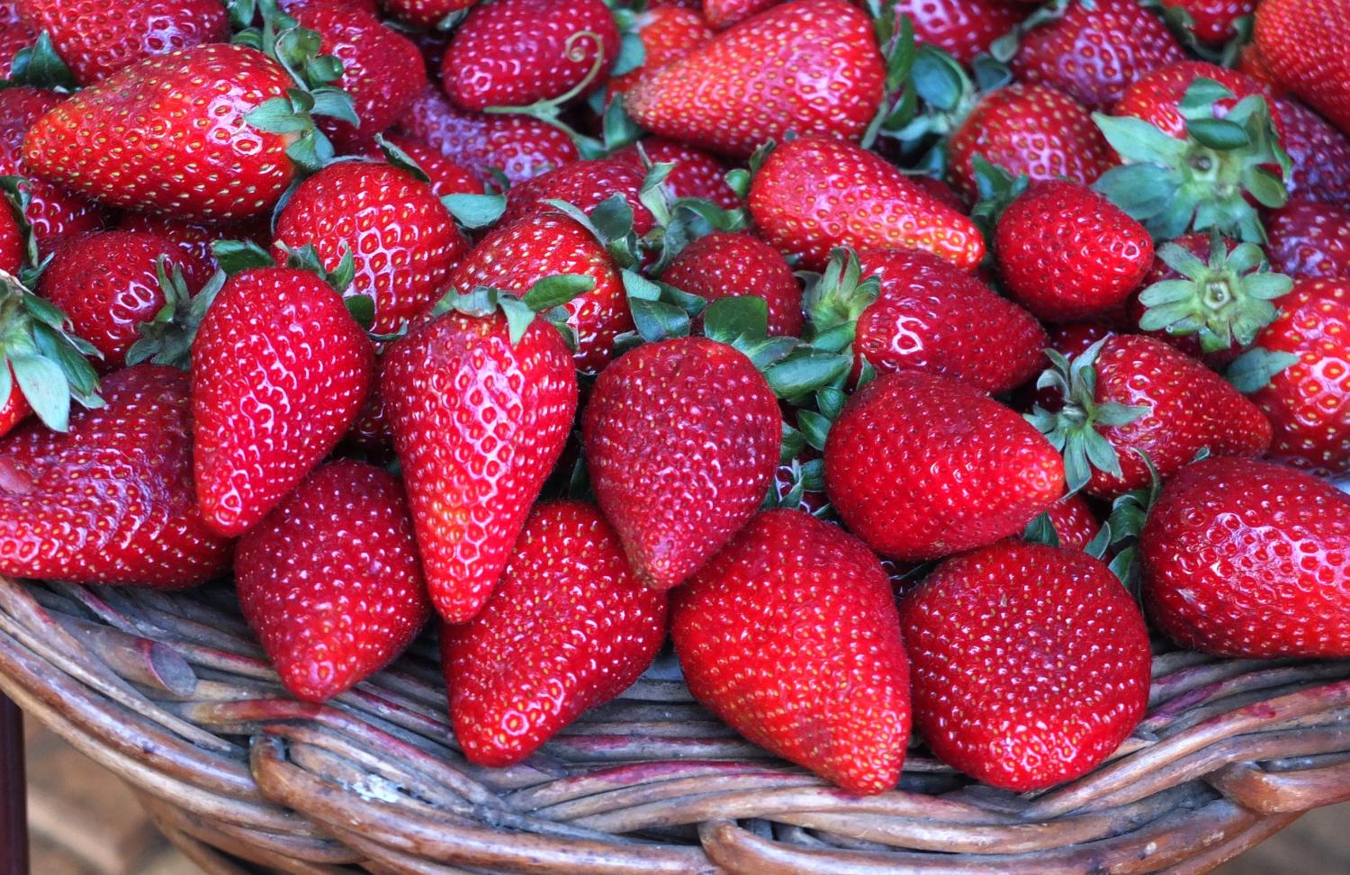 fruit-2223330_by_andrewianhalloway_cc0-gemeinfrei_pixabay_pfarrbriefservice