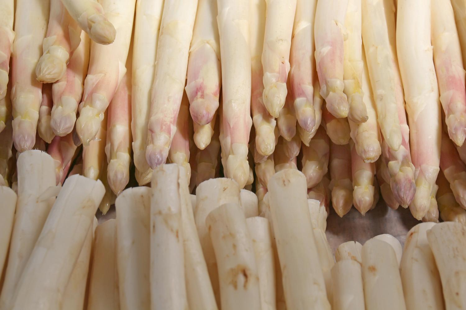 spargel_by_peter_weidemann_pfarrbriefservice