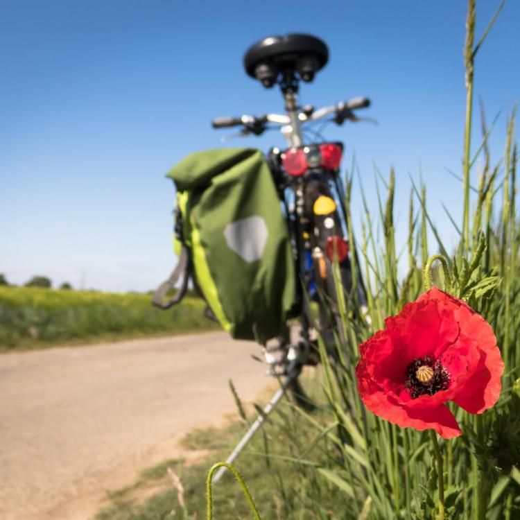 to-go-biking-5178398_by_Didgeman_pixabay_pbs