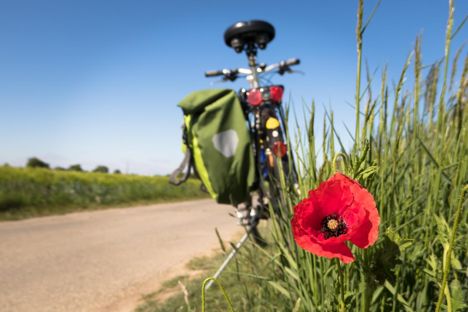 to-go-biking-5178398_by_Didgeman_pixabay_pbs