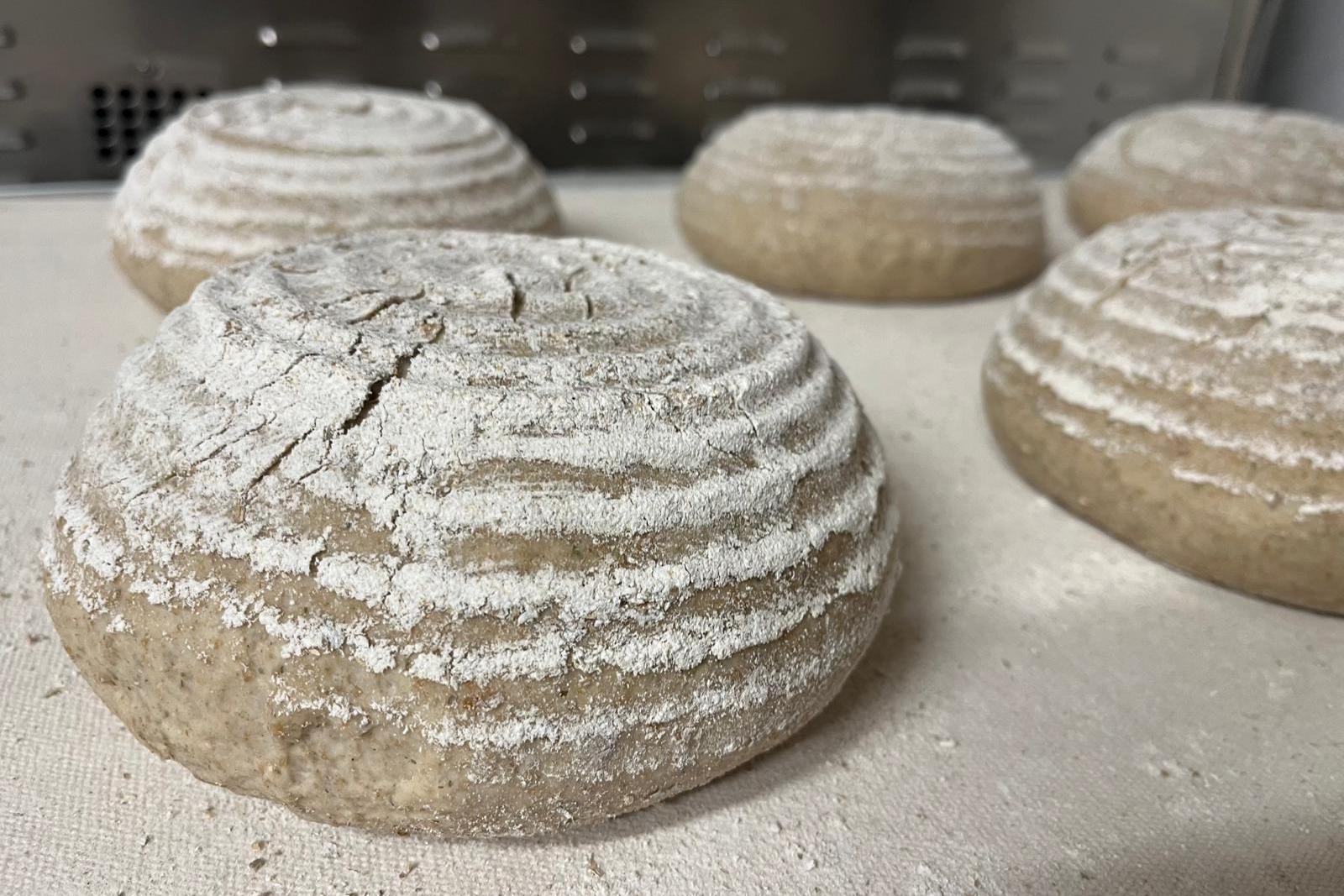 f240fe1f-e4b3-45ad-a849-15113ad3e3ef