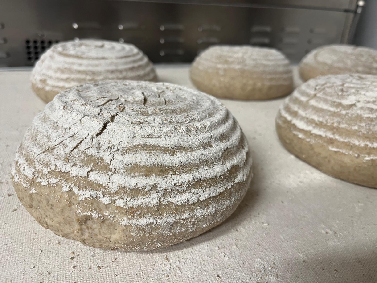 f240fe1f-e4b3-45ad-a849-15113ad3e3ef