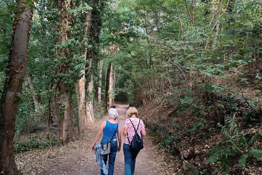 kfd franziskusweg 2