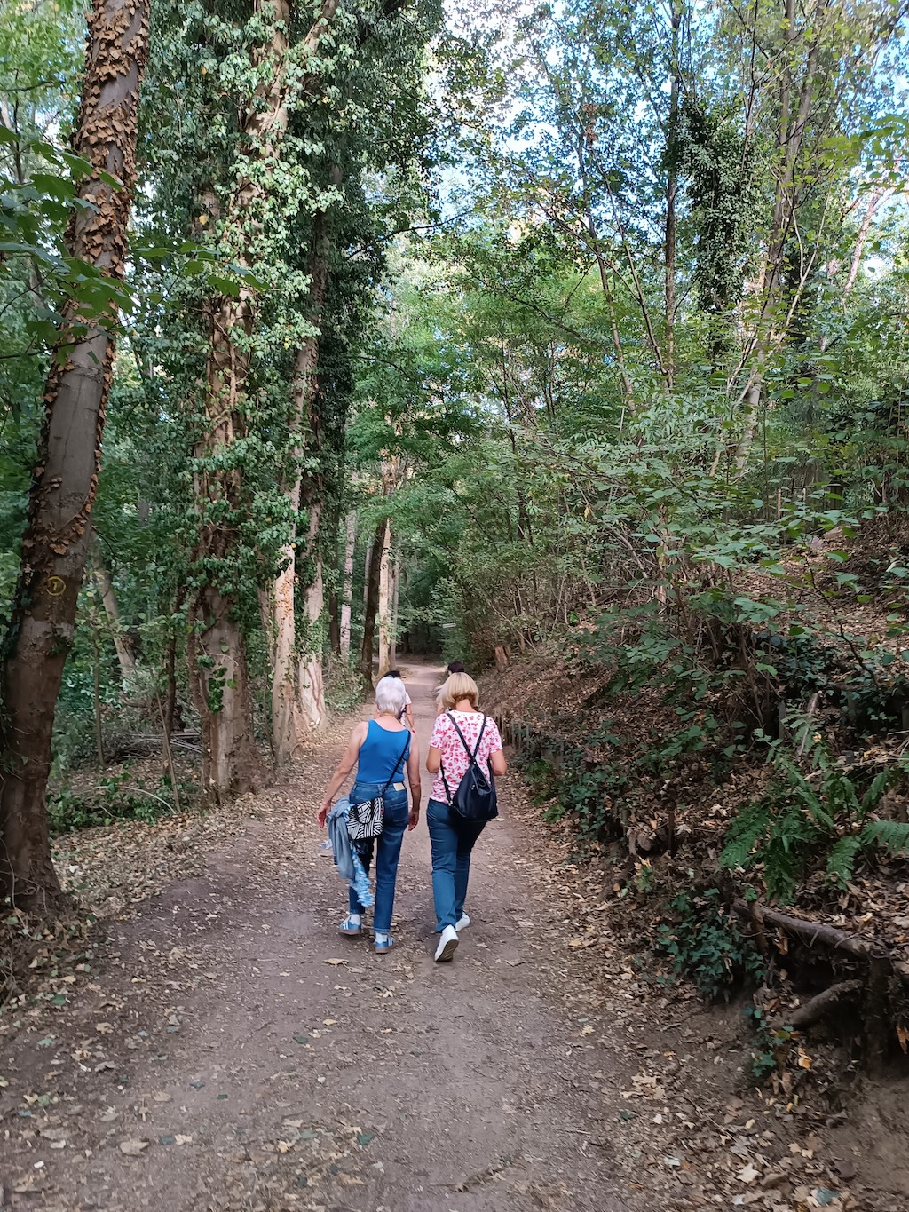 kfd franziskusweg 2