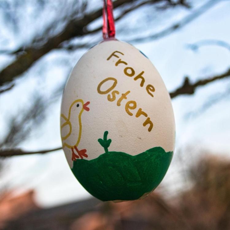 easter-6140527_by__planet_fox__pixabay_pbs