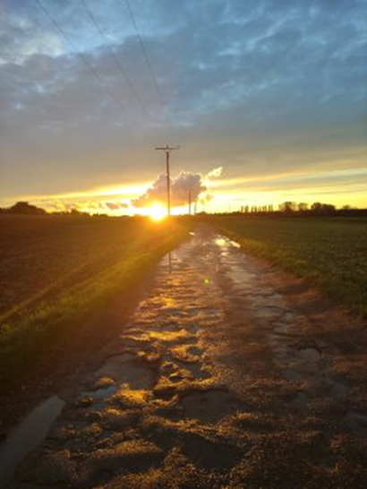 Sonnenuntergang im Pastoralraum