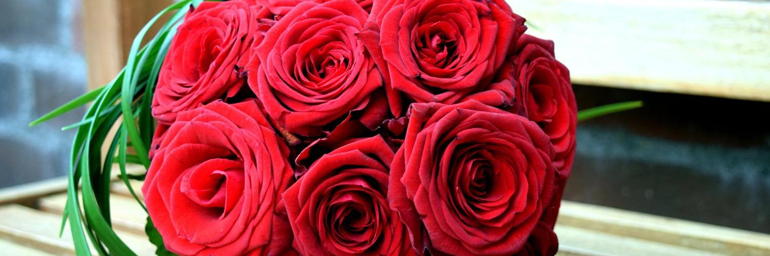 roses-5434952_by_Flensshot_pixabay_pbs