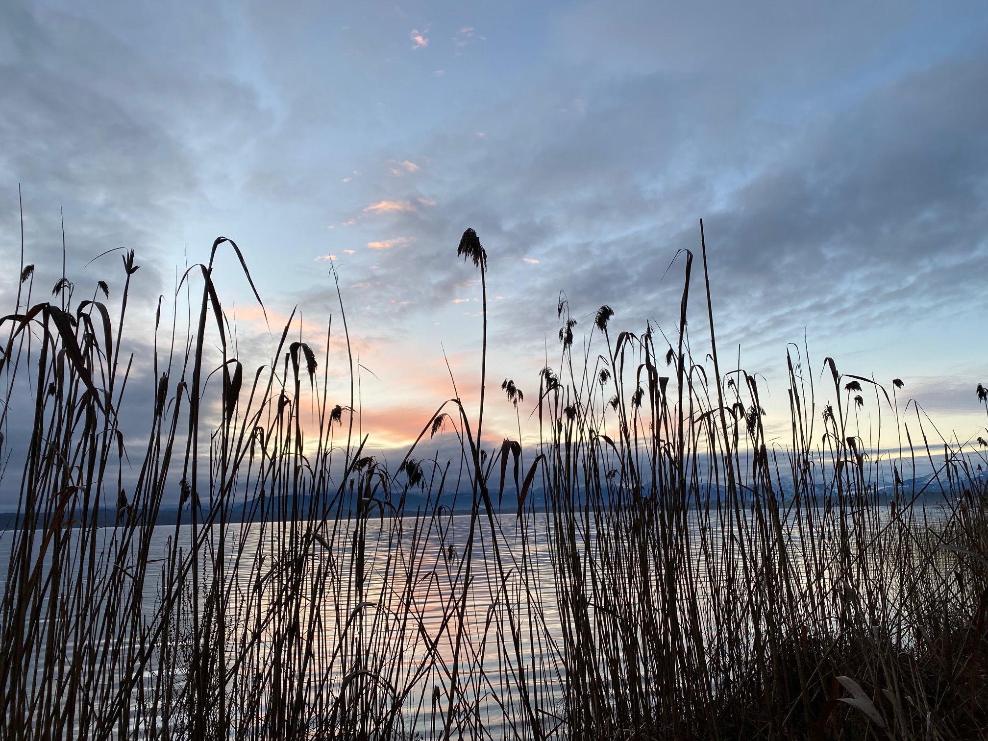 Sonnenuntergang am Bodensee