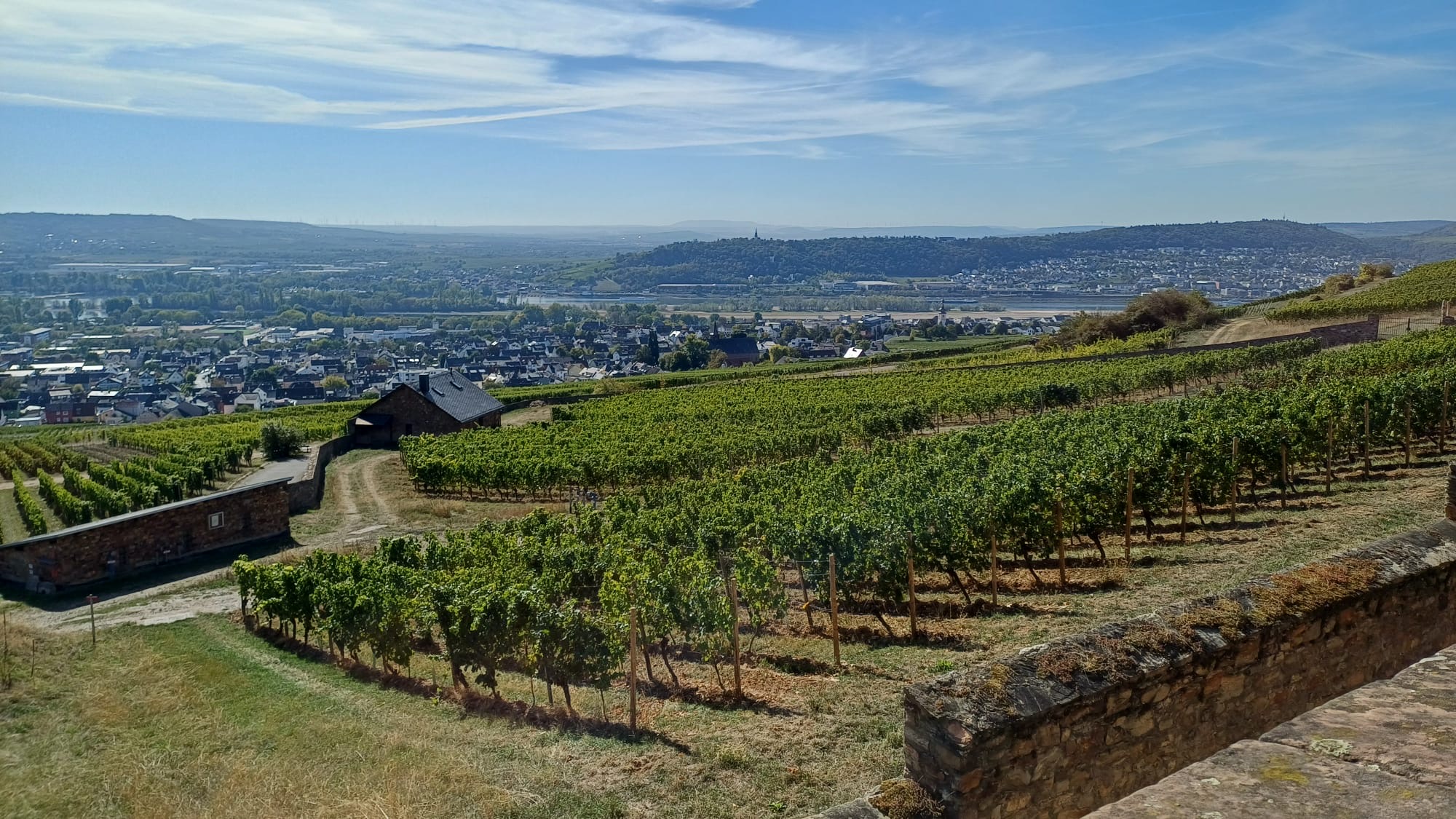 Blick ins Rheintal