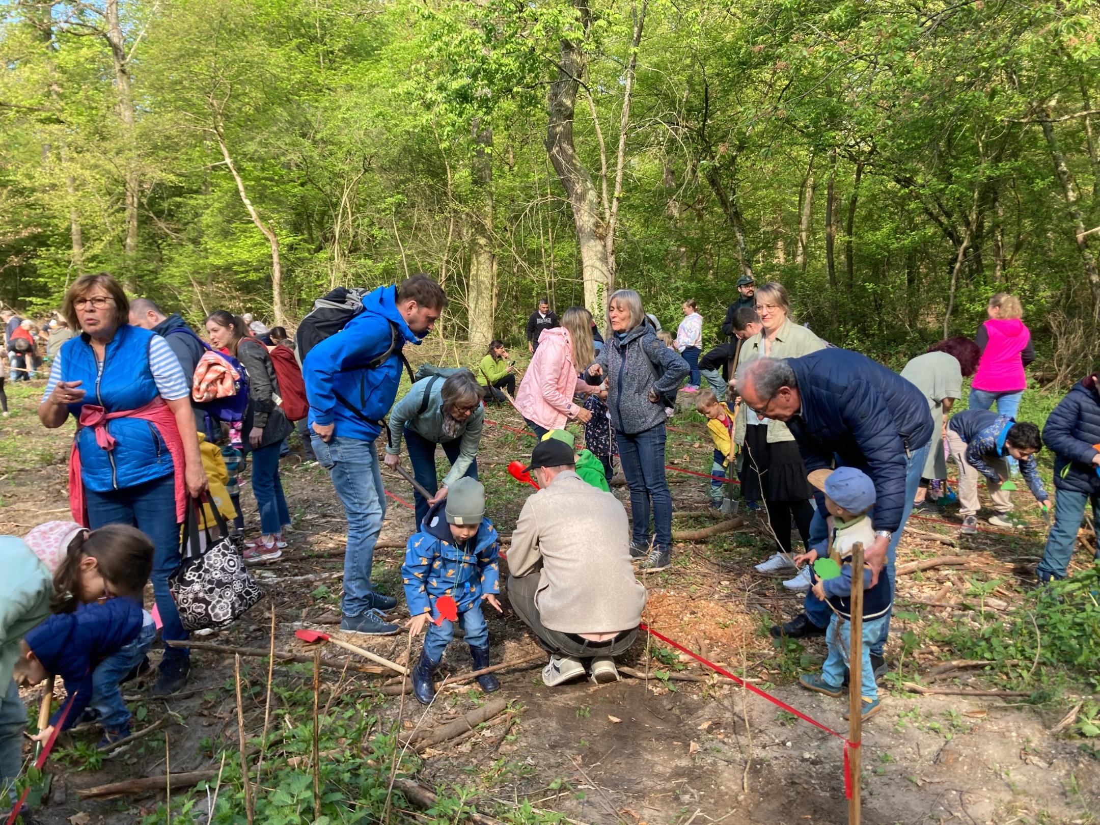 Viele fleißige Hände