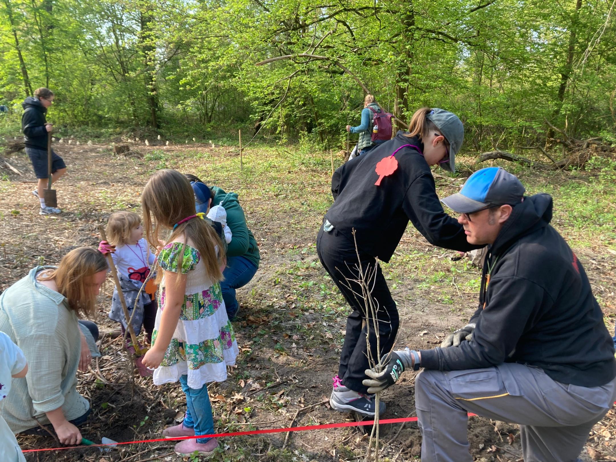Löcher müssen ausgehoben werden